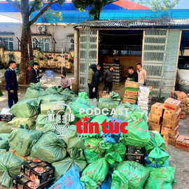 Tin nóng trong nước sáng 29/1/2026