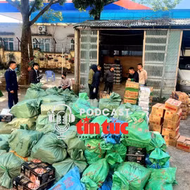 Tin nóng trong nước sáng 29/1/2026