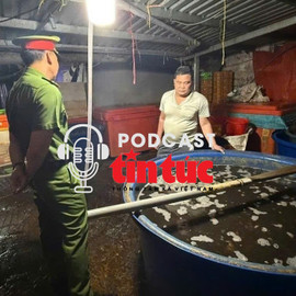 Tin nóng trong nước sáng 28/1/2026