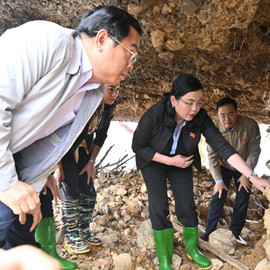 Tin nóng trong nước sáng 12/11/2025