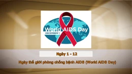 Khoảnh khắc & sự kiện ngày 1/12