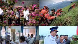 Học Bác mỗi ngày: Phát huy vai trò 'Đi trước mở đường' của công tác tuyên giáo trong kỷ nguyên mới