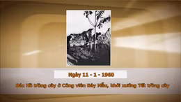 Khoảnh khắc & sự kiện ngày 11/1