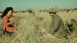 Thông điệp lịch sử: Bộ đội cụ Hồ - biểu tượng văn hóa cao đẹp của quân đội nhân dân Việt Nam