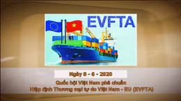 Khoảnh khắc & sự kiện ngày 8/6