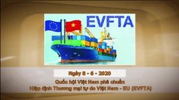 Khoảnh khắc & sự kiện ngày 8/6