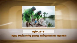 Khoảnh khắc & sự kiện ngày 22/5