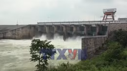Để thủy điện thực sự là 'lá chắn' trong mùa lũ