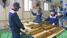 Giảm tiền thuê đất, thêm nguồn lực tài chính