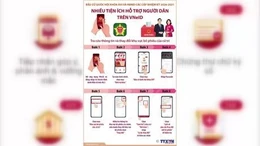 Cách tra cứu thông tin và thay đổi khu vực bỏ phiếu trên VNeID