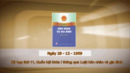 Khoảnh khắc & sự kiện ngày 29/12