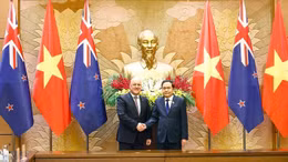Chủ tịch Quốc hội Trần Thanh Mẫn hội kiến Thủ tướng New Zealand