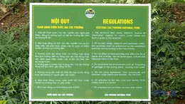 Đảm bảo an toàn cho du khách trải nghiệm loại hình du lịch trong rừng