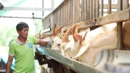 Gỡ 'điểm nghẽn' vốn thúc đẩy hợp tác xã phát triển