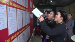 Cao Bằng: Tỷ lệ cử tri tham gia bầu cử đạt trên 99,93%