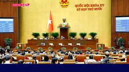 Thời sự 24h qua ảnh chiều 10/12