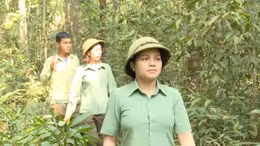 Những 'bóng hồng' giữ rừng ở Bình Phước