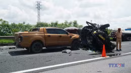 Có nên bỏ cây xanh trên dải phân cách cao tốc?