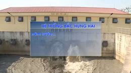 Nước của hệ thống Bắc Hưng Hải đã thay màu
