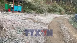 Nhiệt độ xuống dưới 0°C, băng giá xuất hiện tại miền tây Nghệ An