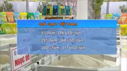 ‎Gạo Việt lấy lại vị thế đắt giá nhất thế giới