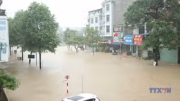 Hình thái nào đã gây mưa đặc biệt nguy hiểm ở miền Bắc?