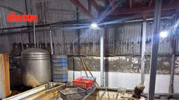 Lộ diện 'kho lạnh tử thần': 59 tấn lòng lợn bốc mùi chờ tuồn ra thị trường