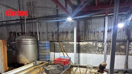 Lộ diện 'kho lạnh tử thần': 59 tấn lòng lợn bốc mùi chờ tuồn ra thị trường