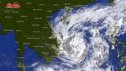 Thời tiết tuần từ ngày 1 - 7/12/2025: Bão số 15 đang tiến vào vùng biển Việt Nam