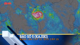 Thời tiết tuần từ 24 - 30/8/2025: Toàn quốc đón mưa dông do bão số 5, cảnh báo lũ quét và ngập úng