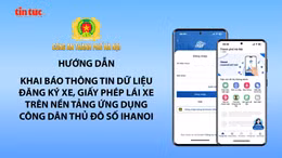 Hướng dẫn cách làm sạch dữ liệu giấy phép lái xe, đăng ký xe trên iHanoi