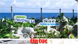 Mầm xanh từ đất liền, sức sống ở Trường Sa: Gửi niềm tin xanh 