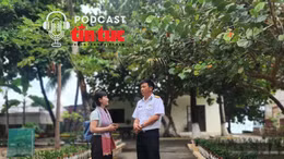 Mầm xanh ở đất liền, sức sống ở Trường Sa: Đảo công viên giữa trùng khơi 