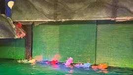 Đến bảo tàng xem múa rối nước