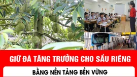 Giữ đà tăng trưởng cho sầu riêng bằng nền tảng bền vững