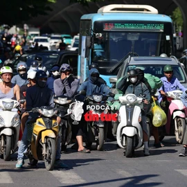 Nắng nóng 'thiêu đốt' đô thị do thiếu hụt mảng xanh