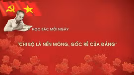 Học Bác mỗi ngày: 'Chi bộ là nền móng, gốc rễ của đảng'