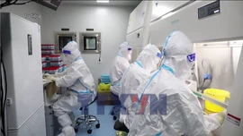 Theo dõi chặt chẽ biến thể 've sầu' của virus SASR-CoV-2