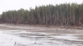 Hơn 9km bờ biển ở Vĩnh Long bị sạt lở nghiêm trọng