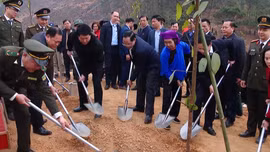 Chủ tịch nước Lương Cường phát động Tết trồng cây