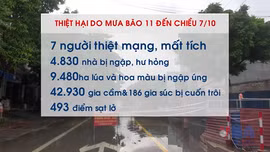 Bảy người thiệt mạng và mất tích do bão số 11