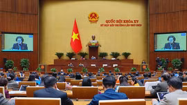 Sửa đổi Luật Tổ chức Quốc hội