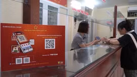 Chủ động cung cấp dịch vụ công cho người dân