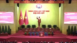 Định hướng cho Việt Nam đạt được mục tiêu dài hạn