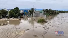 Khánh Hòa khẩn trương triển khai các biện pháp ứng cứu, hỗ trợ người dân
