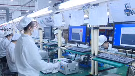 Thông điệp lịch sử: Doanh nghiệp, doanh nhân sẵn sàng vươn mình bứt phá