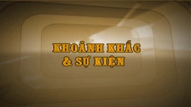 Khoảnh khắc & sự kiện ngày 8/3