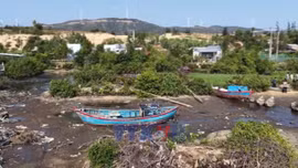 Gia Lai đầu tư hàng trăm tỷ đồng hỗ trợ chuyển đổi nghề cho ngư dân