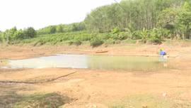 Đập Tà Cang ở Kon Tum cạn nước vì thi công sai không như thiết kế​