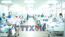 Sức khoẻ nạn nhân vụ lật ca nô tại Phú Quốc đang chuyển biến tích cực